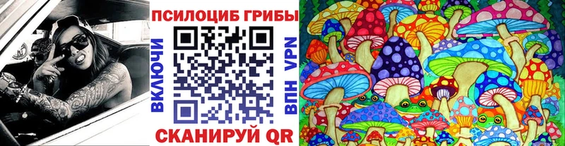 где можно купить   shop формула  Галлюциногенные грибы мицелий  Сортавала 